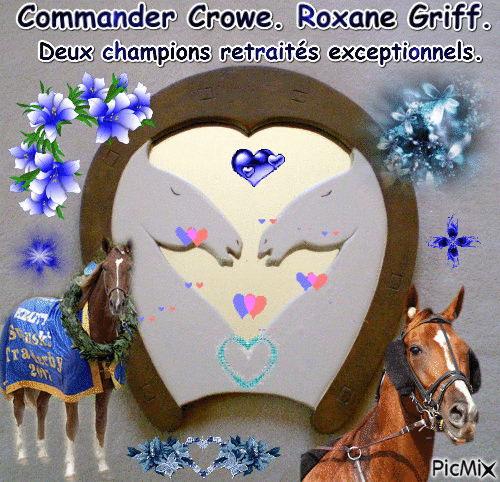 Les champions Commander Crowe Roxane Griff. - Бесплатни анимирани ГИФ