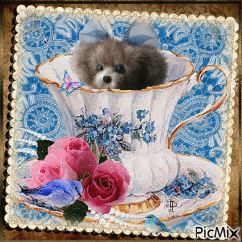Puppy in a cup, peek a boo. - Free animated GIF