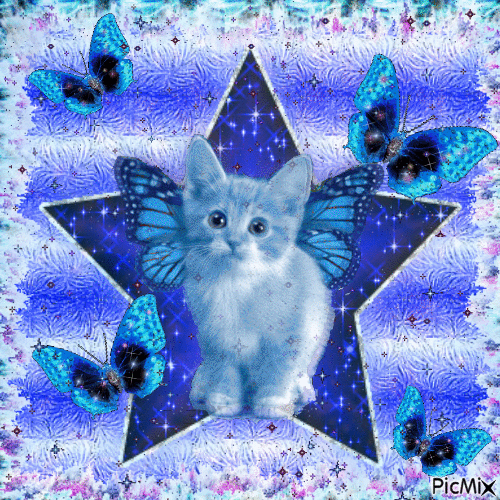 blue cat - Gratis animeret GIF
