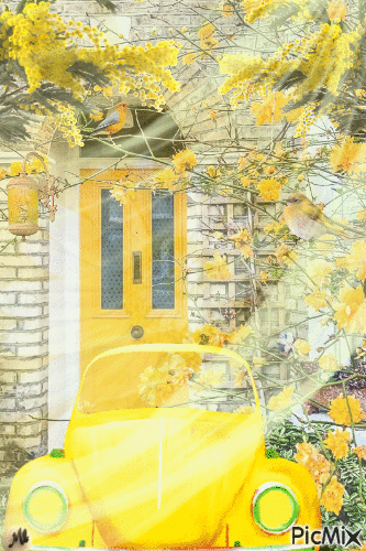 Yellow fantasy - Free animated GIF