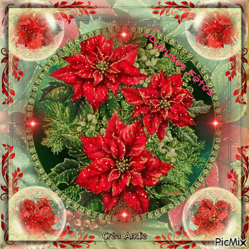 Fleur de Poinsettia rouge - Gratis animeret GIF