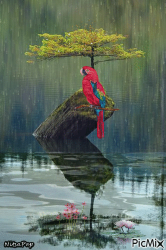 parrot! - 無料のアニメーション GIF