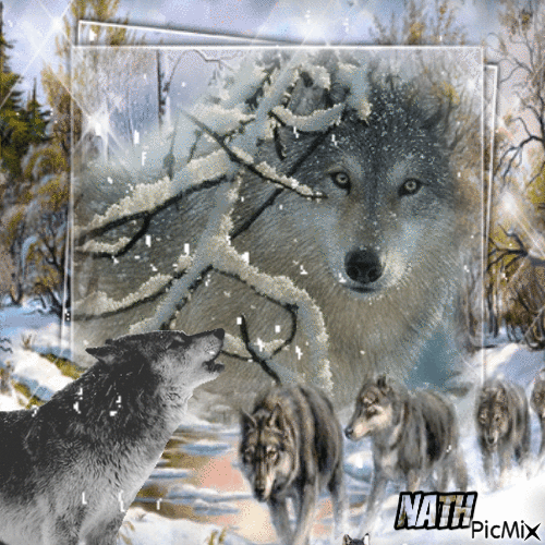 Wolf - Bezmaksas animēts GIF