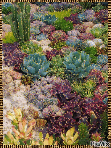 Succulent Garden - GIF animé gratuit