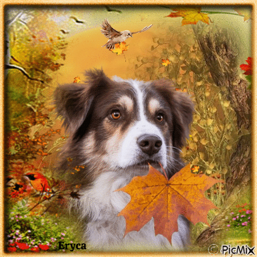 Un chien en automne - Gratis animeret GIF
