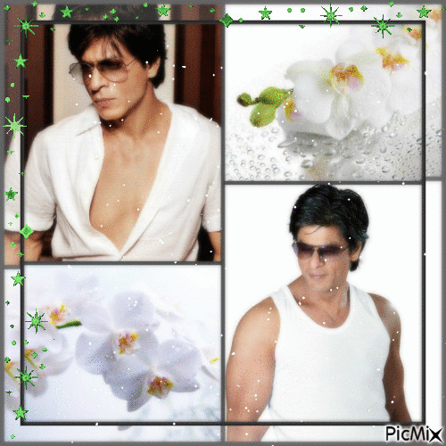 SRK - Gratis animeret GIF