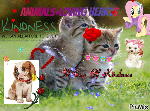 I am an animal friend :) - Nemokamas animacinis gif
