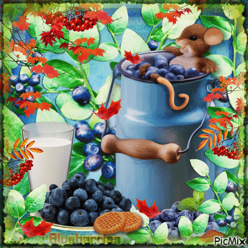 Blueberries - Gratis animeret GIF