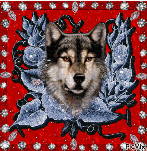 Wolf on red fonf. - GIF animado grátis