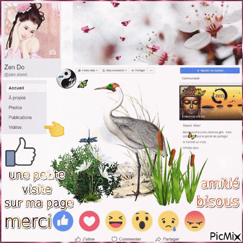 Ma page Zen Do☯  Facebook 👍 - Zdarma animovaný GIF