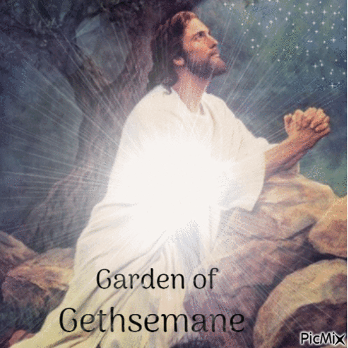 Garden of Gethsemane - GIF animate gratis