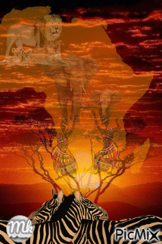 Africam - Darmowy animowany GIF