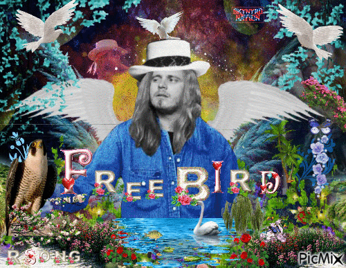 free bird - GIF animé gratuit