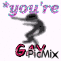 you're gay - Bezmaksas animēts GIF