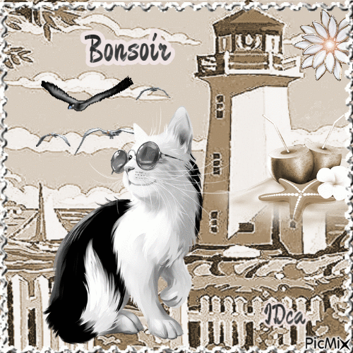 Bonsoir les chatons - Ingyenes animált GIF