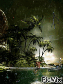 orage sous les tropiques - 免费动画 GIF