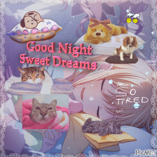 good night saki - Безплатен анимиран GIF