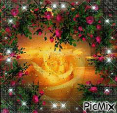 Yellow Rose - Безплатен анимиран GIF