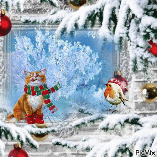 winterkatze - Δωρεάν κινούμενο GIF