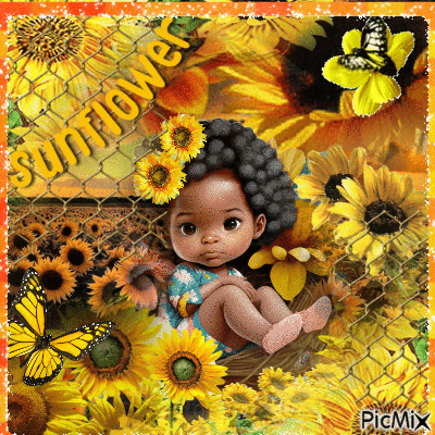 sunflower - Zdarma animovaný GIF