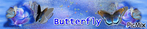 Bannière avec papillons - Ingyenes animált GIF