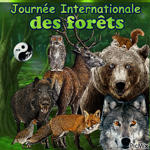 Journée Internationale des forêts - Бесплатный анимированный гифка