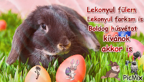 Boldog Húsvétot - GIF animé gratuit