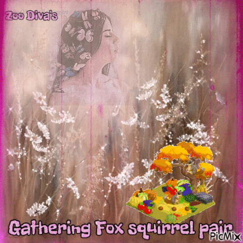Gathering Fox squirrel pair - GIF animé gratuit