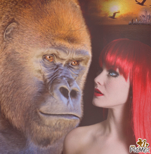 Concours "Mon ami le Gorille" - GIF animado gratis