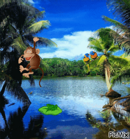 Утро в тропиках - 無料のアニメーション GIF
