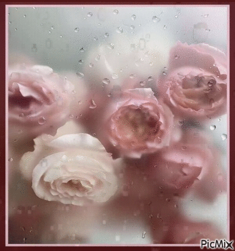 roses et pluie - Бесплатни анимирани ГИФ