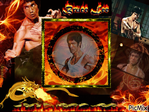 Bruce Lee Tribute - Free animated GIF