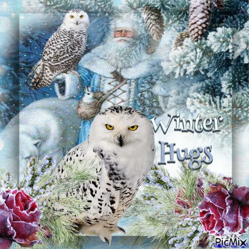 Christmas owl - besplatni png