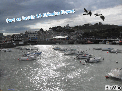 Port en bessin calvdos france - GIF เคลื่อนไหวฟรี
