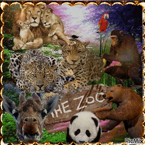 Un día en el zoológico - 無料のアニメーション GIF