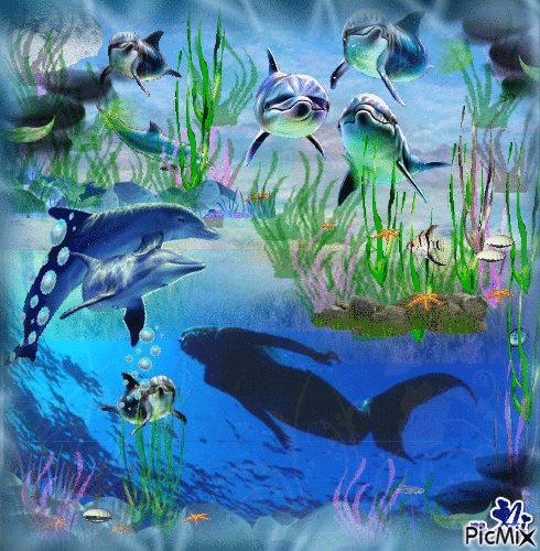 Concours "Sirène et dauphins" - GIF animado grátis