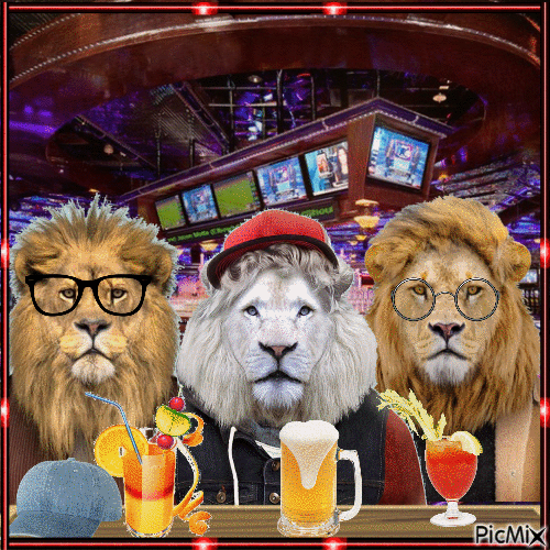 Lions Acting Civilized - Free animated GIF