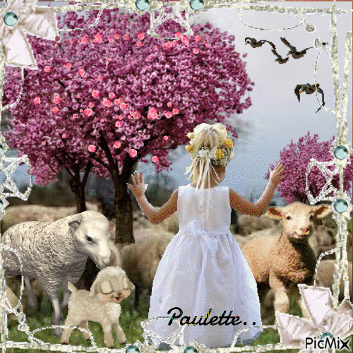 petite fille et moutons - Free animated GIF
