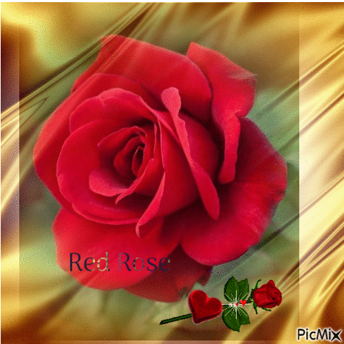 Roses - Δωρεάν κινούμενο GIF