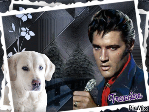 Elvis Presley💖💖💖 - GIF animado grátis