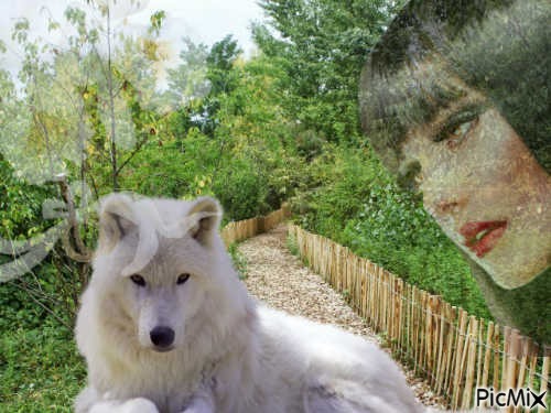 Loup !!! <3 - 免费PNG