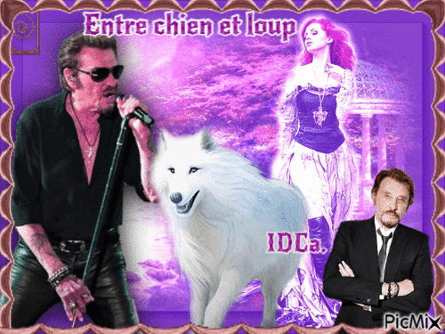 Entre chien et loup - Free animated GIF