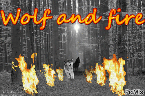 Wolf and fire - Безплатен анимиран GIF