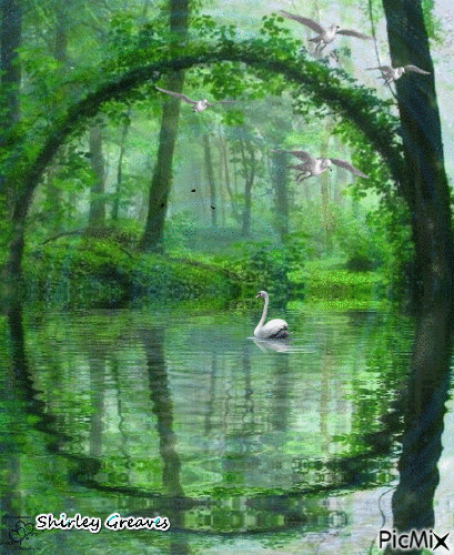 Swan - GIF animasi gratis