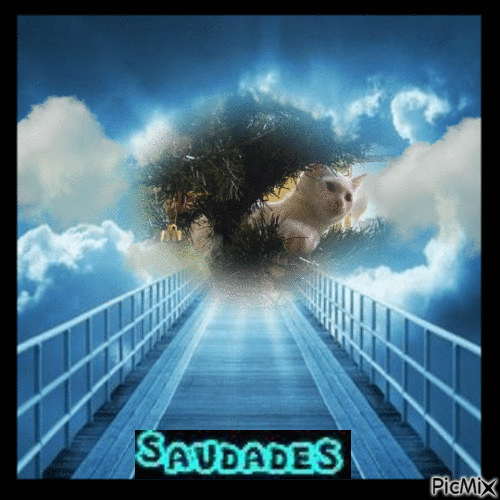 Saudades - Δωρεάν κινούμενο GIF