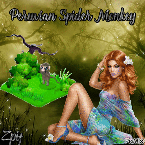 Peruvian Spider Monkey - GIF animado gratis