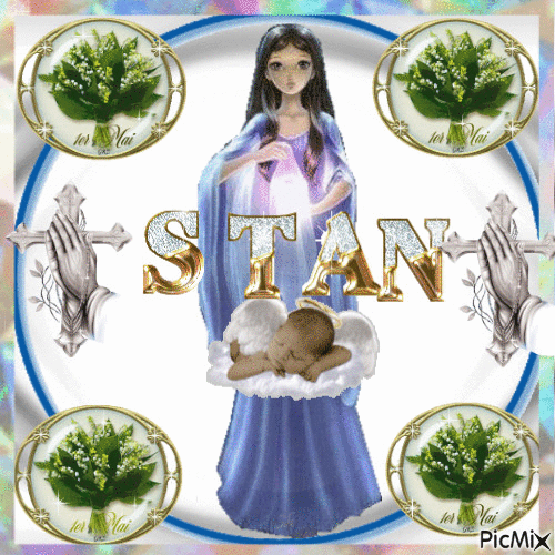 Pour Stan - 無料のアニメーション GIF