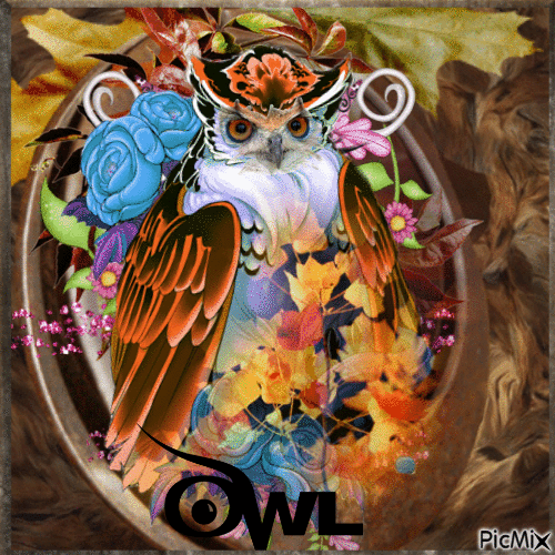 My collor owl - Gratis animerad GIF