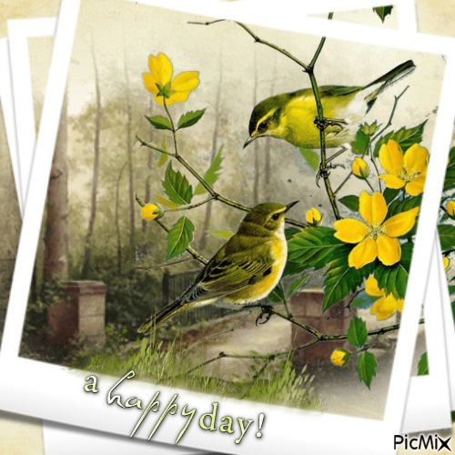 A happy day! - gratis png