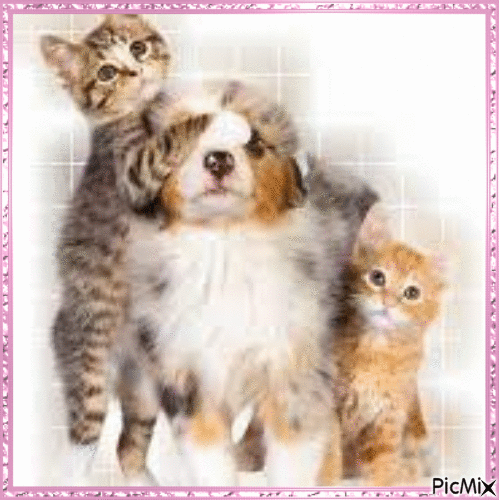 Chatons et chiots - Tons pastels - Darmowy animowany GIF